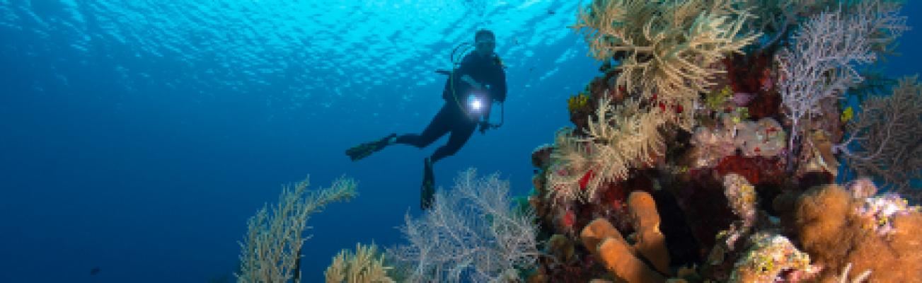 Cayman Brac