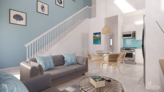 Sky Lofts Unit B4