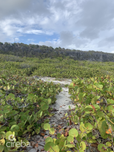 South Side Ocean Front Land