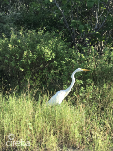 Little Cayman Lot Near Point Of Sands