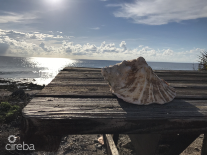 Little Cayman Lot Near Point Of Sands