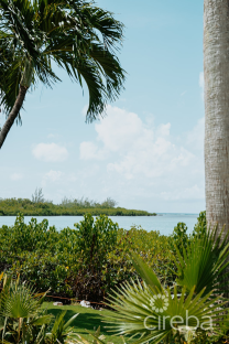 Vista Caribe #9
