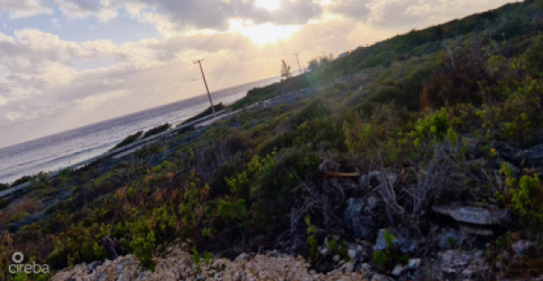High Rock Waterfront Lot