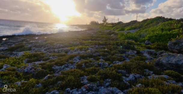 High Rock Waterfront Lot