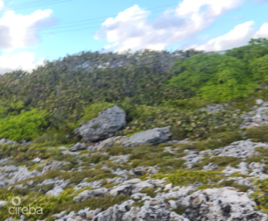 High Rock Waterfront Lot