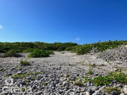 Pre-Constructed Seaglass Villa Oceanfront Land