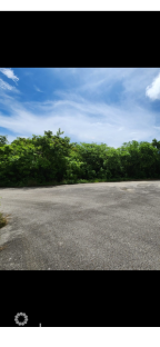 Valley Gardens Land, High Elevation