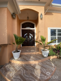 Paradise Palms