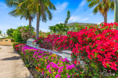 Stone Haven 14, George Town Condo