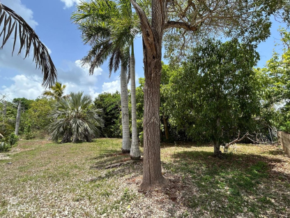 .46 Acre Lot - Filled & Well-Maintained  - Lower Valley