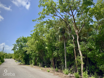 OVERSIZED LOT NEAR MANDARIN HOTEL